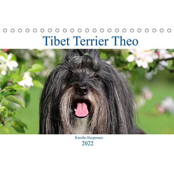 Tibet Terrier Theo (Tischkalender 2022 DIN A5 quer), Karolin Heepmann