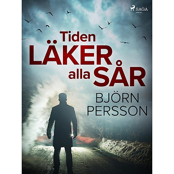 Tiden läker alla sår / Stig Elofsson Bd.4, Björn Persson