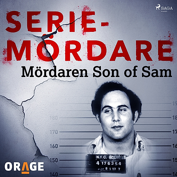 Tidernas värsta seriemördare - Mördaren Son of Sam, Orage