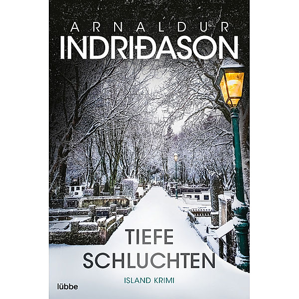 Tiefe Schluchten / Kommissar Konrad Bd.3, Arnaldur Indriðason