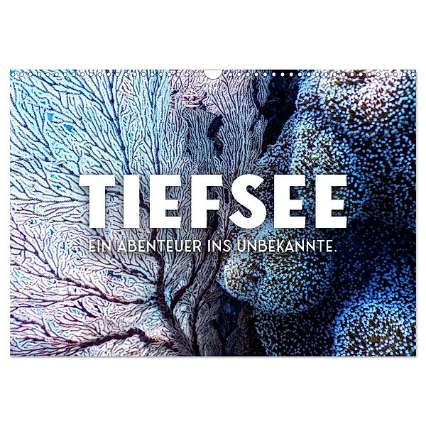 Tiefsee - Ein Abenteuer ins Unbekannte. (Wandkalender 2024 DIN A3 quer), CALVENDO Monatskalender, SF