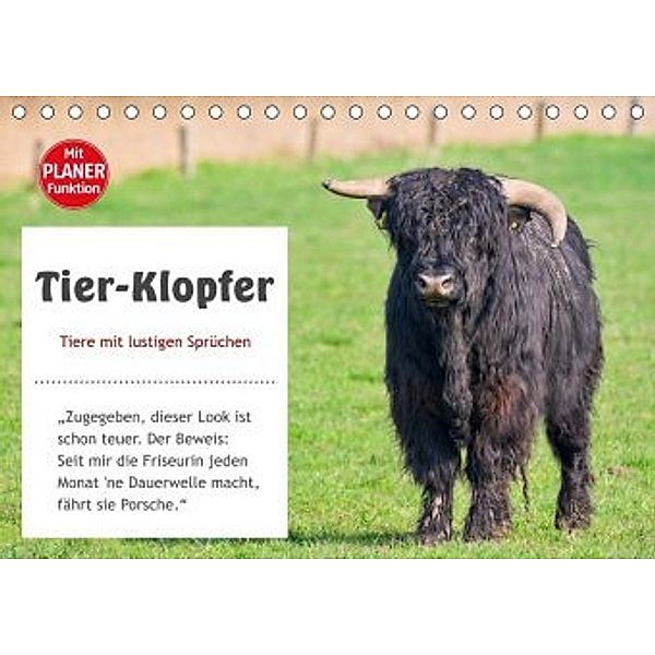 Tier-Klopfer (Tischkalender 2020 DIN A5 quer), Rainer Kulartz