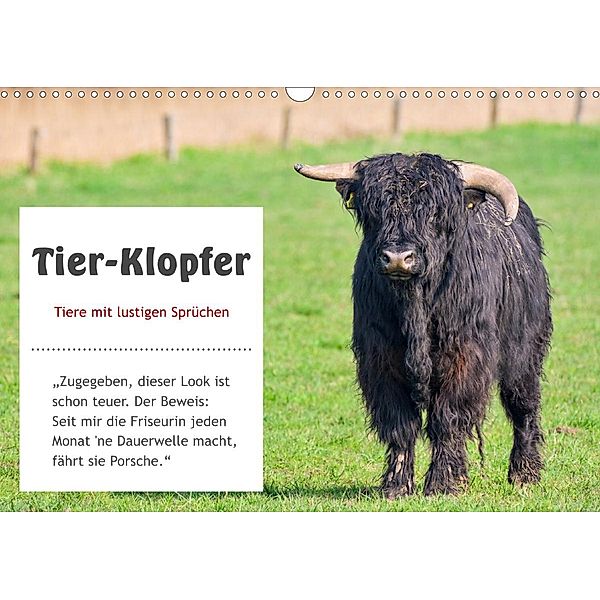 Tier-Klopfer (Wandkalender 2020 DIN A3 quer), Rainer Kulartz