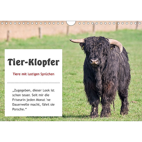Tier-Klopfer (Wandkalender 2020 DIN A4 quer), Rainer Kulartz