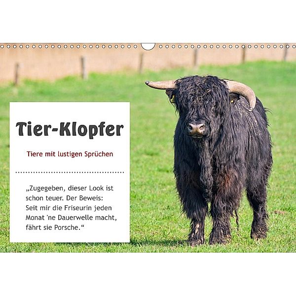 Tier-Klopfer (Wandkalender 2021 DIN A3 quer), Rainer Kulartz, Lisa Plett