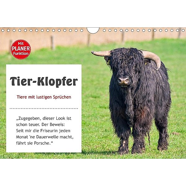 Tier-Klopfer (Wandkalender 2021 DIN A4 quer), Rainer Kulartz, Lisa Plett