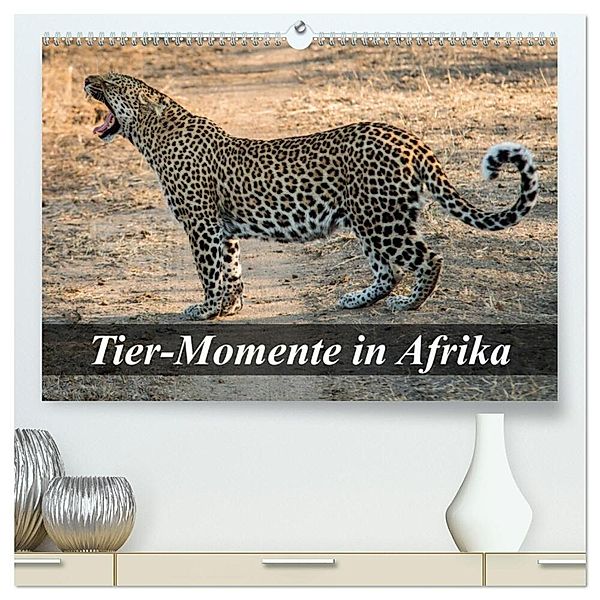 Tier-Momente in Afrika (hochwertiger Premium Wandkalender 2024 DIN A2 quer), Kunstdruck in Hochglanz, Dirk Janssen