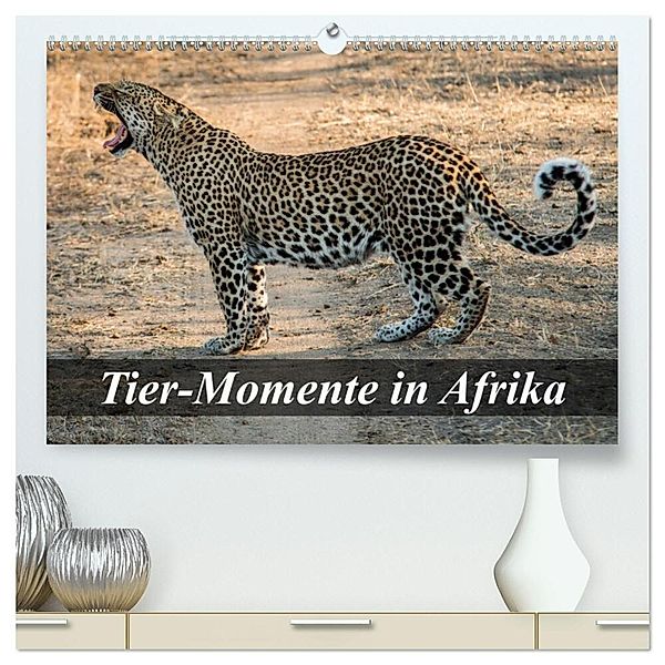 Tier-Momente in Afrika (hochwertiger Premium Wandkalender 2024 DIN A2 quer), Kunstdruck in Hochglanz, Dirk Janßen