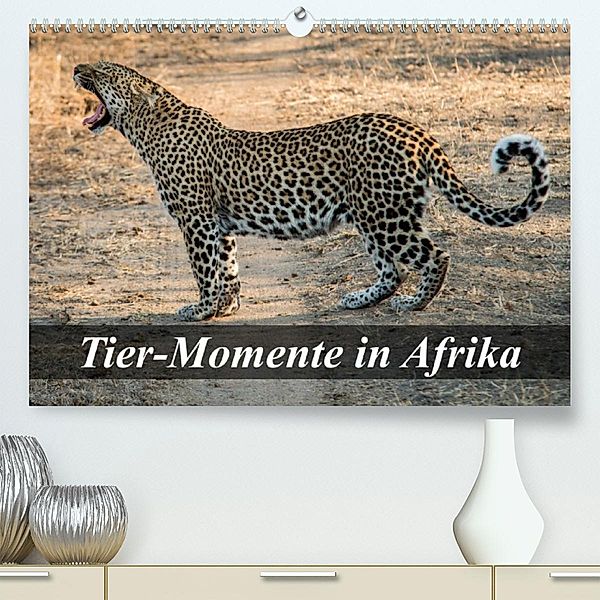 Tier-Momente in Afrika (Premium, hochwertiger DIN A2 Wandkalender 2023, Kunstdruck in Hochglanz), Dirk Janßen