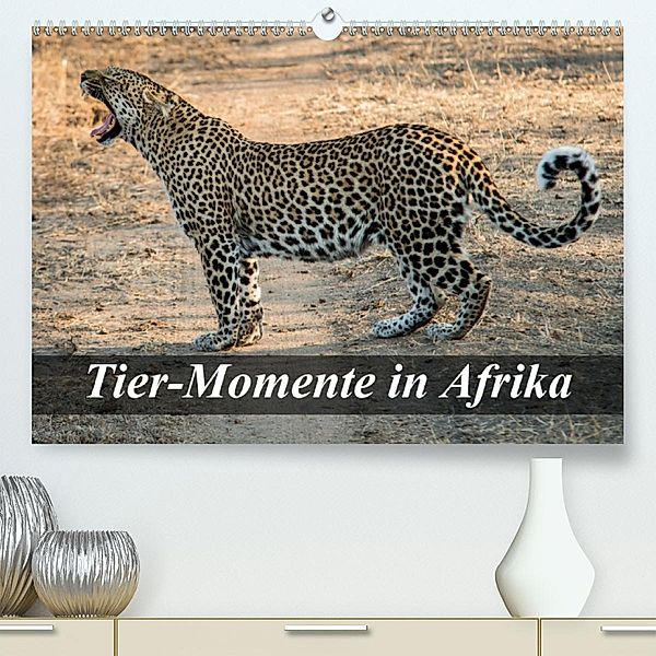 Tier-Momente in Afrika (Premium-Kalender 2020 DIN A2 quer), Dirk Janssen