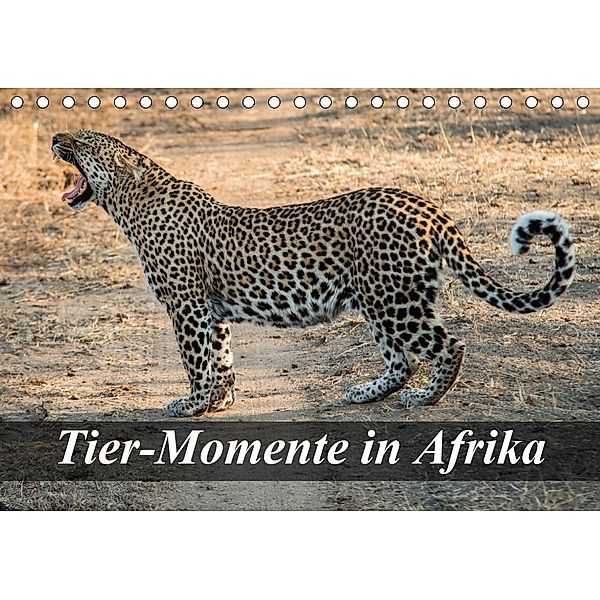 Tier-Momente in Afrika (Tischkalender 2021 DIN A5 quer), Dirk Janssen