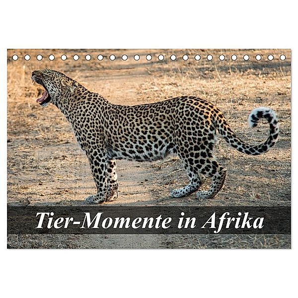 Tier-Momente in Afrika (Tischkalender 2024 DIN A5 quer), CALVENDO Monatskalender, Dirk Janßen