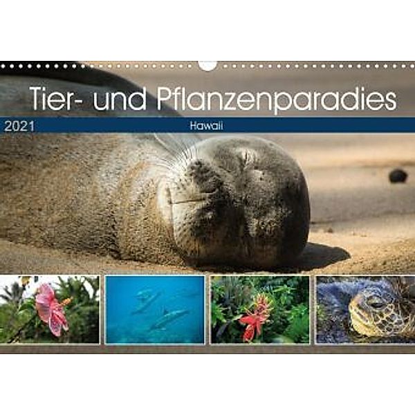 Tier- und Pflanzenparadies Hawaii (Wandkalender 2021 DIN A3 quer), Florian Krauß