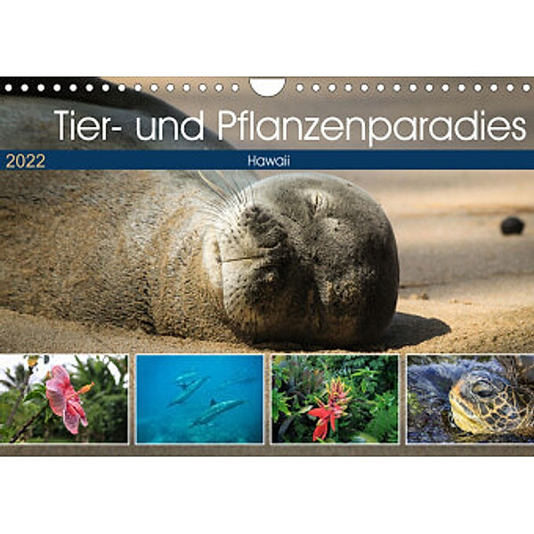 Tier- und Pflanzenparadies Hawaii (Wandkalender 2022 DIN A4 quer), Florian Krauß