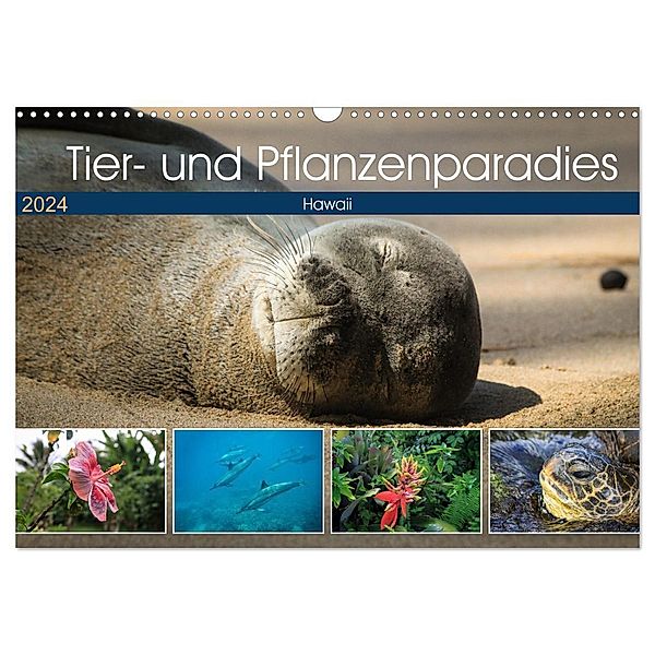 Tier- und Pflanzenparadies Hawaii (Wandkalender 2024 DIN A3 quer), CALVENDO Monatskalender, Florian Krauss