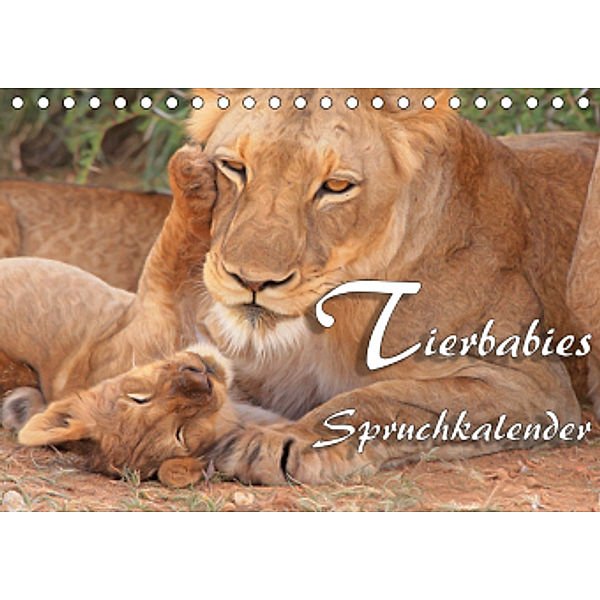 Tierbabies - Spruchkalender (Tischkalender 2021 DIN A5 quer), Liselotte Brunner-Klaus