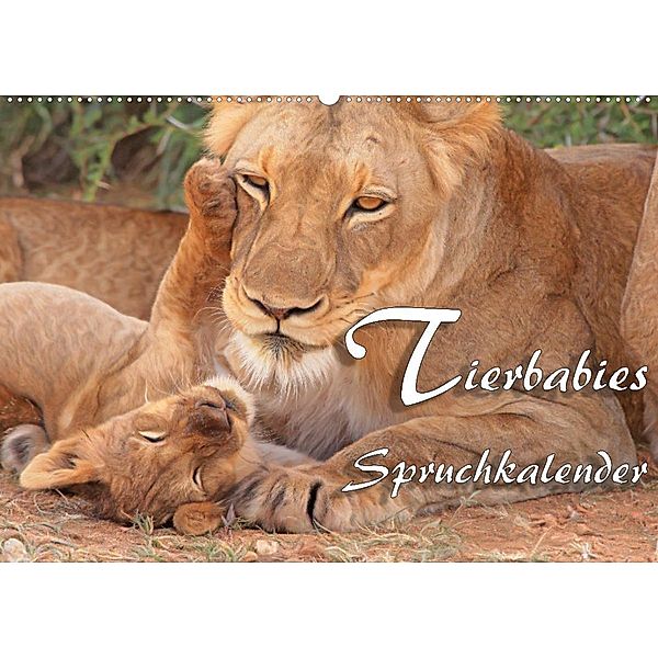 Tierbabies - Spruchkalender (Wandkalender 2023 DIN A2 quer), Liselotte Brunner-Klaus