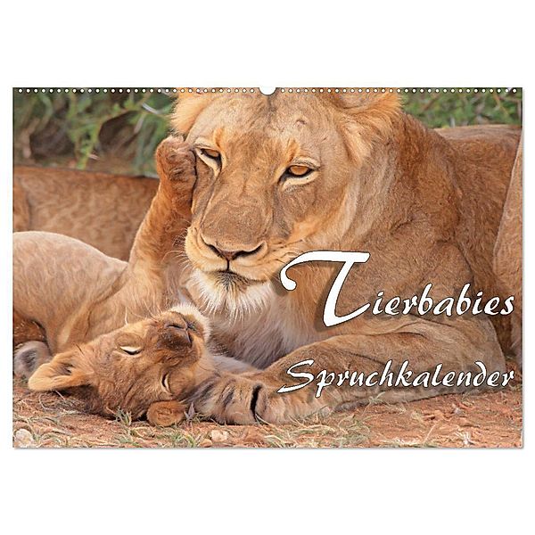 Tierbabies - Spruchkalender (Wandkalender 2024 DIN A2 quer), CALVENDO Monatskalender, Liselotte Brunner-Klaus