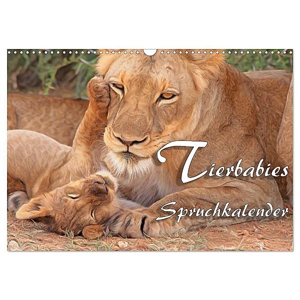 Tierbabies - Spruchkalender (Wandkalender 2024 DIN A3 quer), CALVENDO Monatskalender, Liselotte Brunner-Klaus