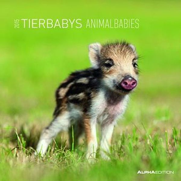 Tierbabys 2015. Animalbabies