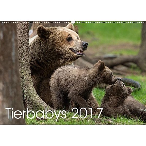 Tierbabys 2017 (Wandkalender 2017 DIN A2 quer), Johann Schörkhuber