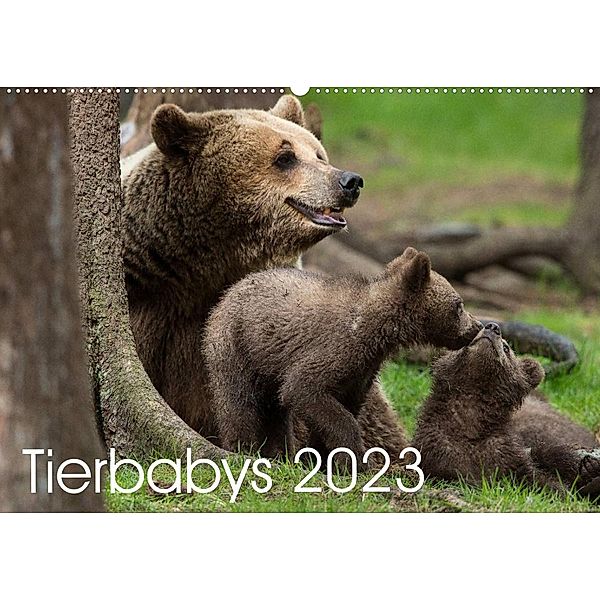 Tierbabys 2023 (Wandkalender 2023 DIN A2 quer), Johann Schörkhuber