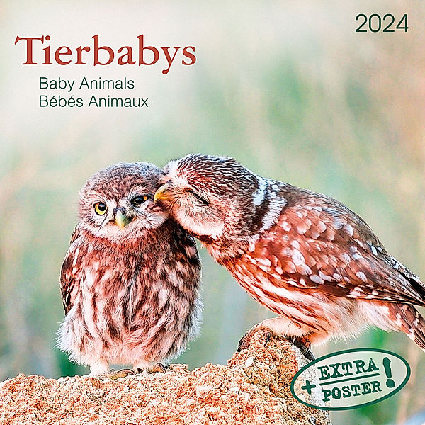 Tierbabys 2024