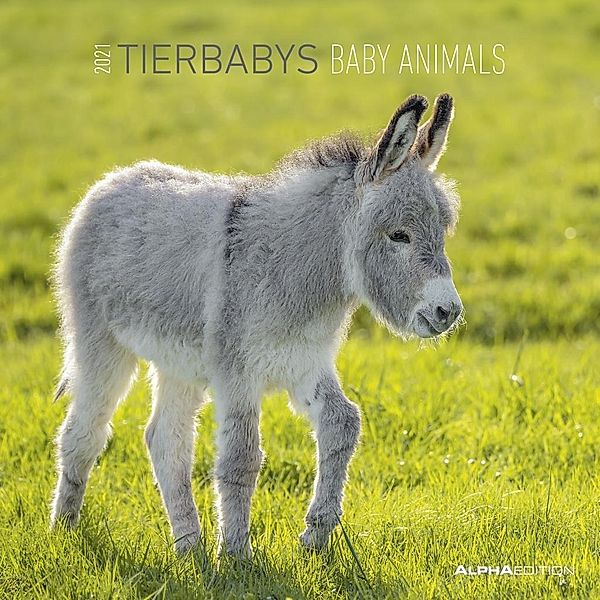 Tierbabys / Baby Animals 2021