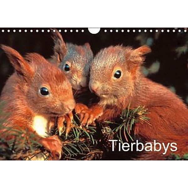 Tierbabys (Wandkalender 2015 DIN A4 quer)