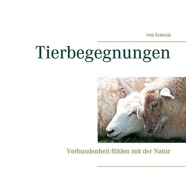 Tierbegegnungen / Geschenkbüchlein - Fotografieren: Malen mit Licht Bd.2, Ines Evalonja