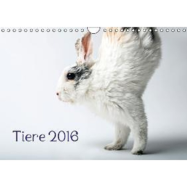 Tiere 2016 (Wandkalender 2016 DIN A4 quer), Wolfgang Zwanzger