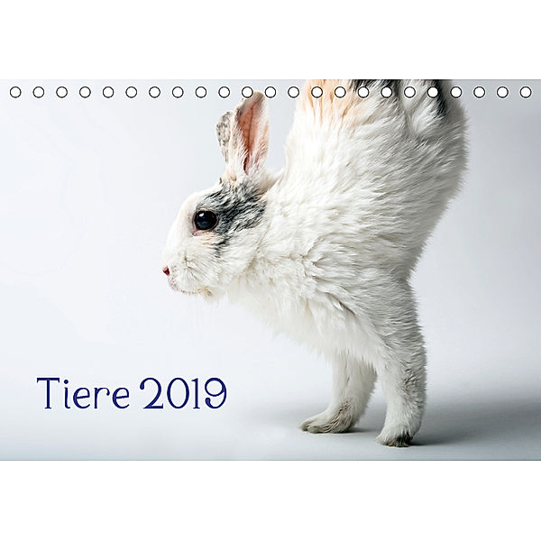 Tiere 2019 (Tischkalender 2019 DIN A5 quer), Wolfgang Zwanzger