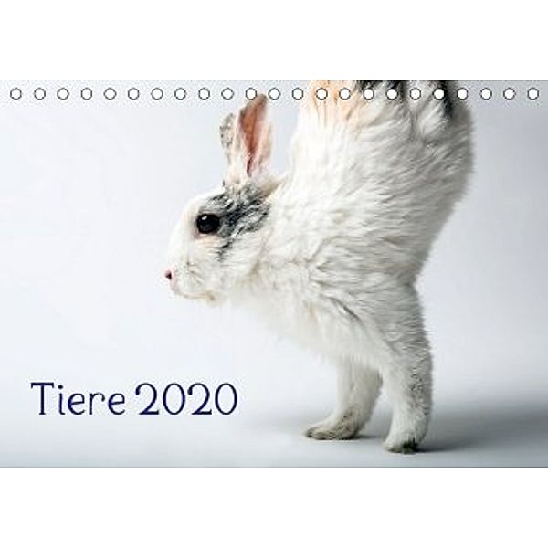 Tiere 2020 (Tischkalender 2020 DIN A5 quer), Wolfgang Zwanzger