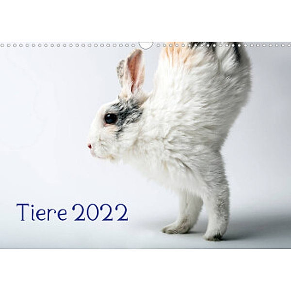 Tiere 2022 (Wandkalender 2022 DIN A3 quer), Wolfgang Zwanzger