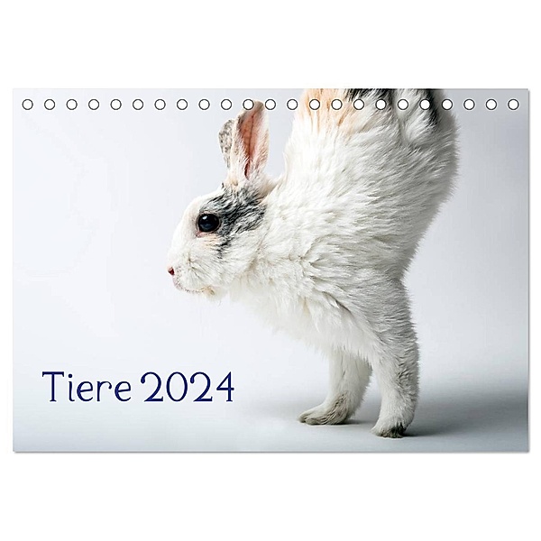 Tiere 2024 (Tischkalender 2024 DIN A5 quer), CALVENDO Monatskalender, Wolfgang Zwanzger