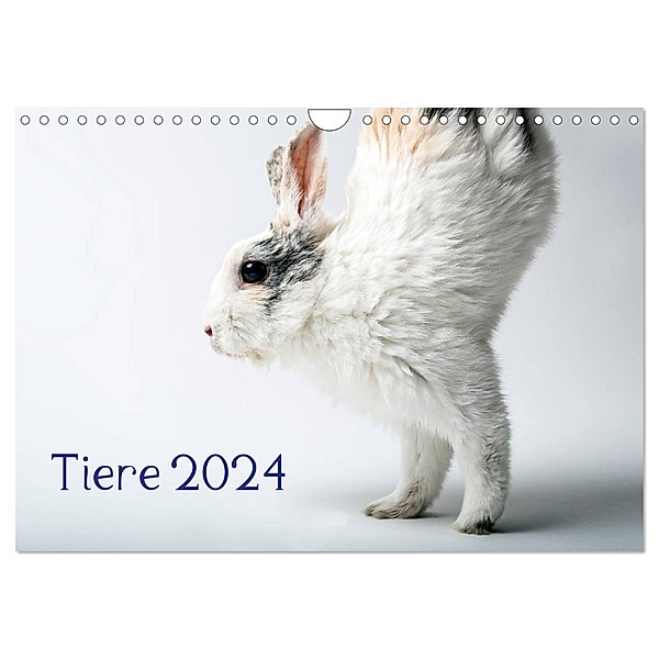 Tiere 2024 (Wandkalender 2024 DIN A4 quer), CALVENDO Monatskalender, Wolfgang Zwanzger