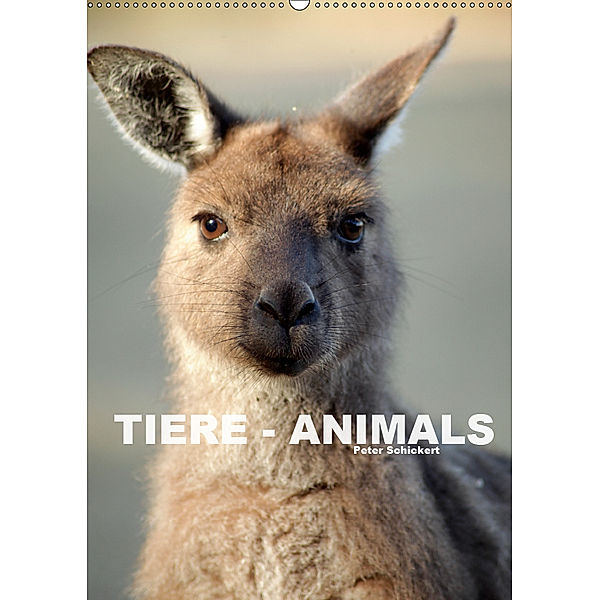 Tiere - Animals (Wandkalender 2019 DIN A2 hoch), Peter Schickert