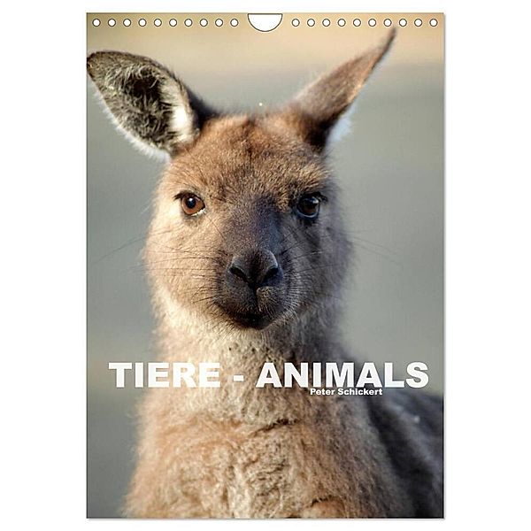 Tiere - Animals (Wandkalender 2024 DIN A4 hoch), CALVENDO Monatskalender, Peter Schickert