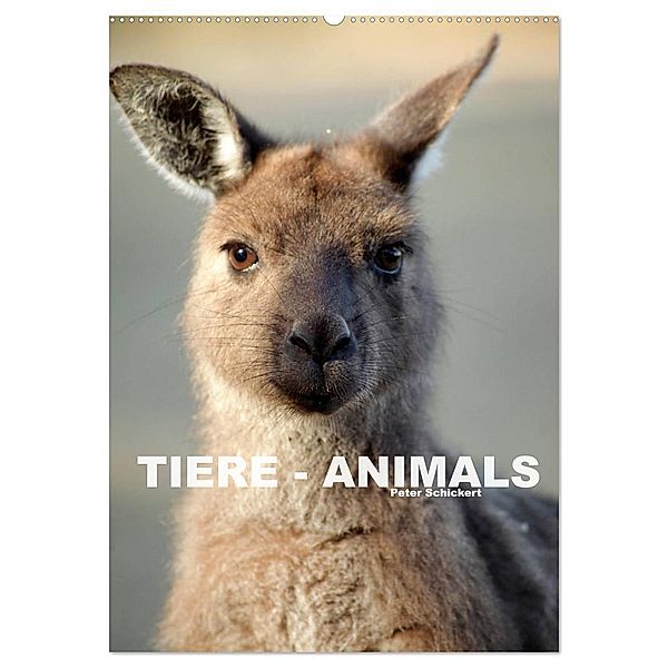 Tiere - Animals (Wandkalender 2025 DIN A2 hoch), CALVENDO Monatskalender, Calvendo, Peter Schickert
