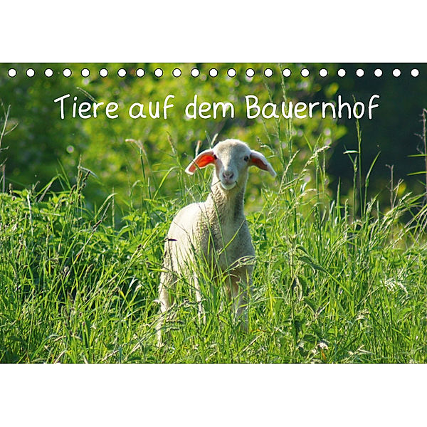 Tiere auf dem Bauernhof (Tischkalender 2019 DIN A5 quer), Kattobello