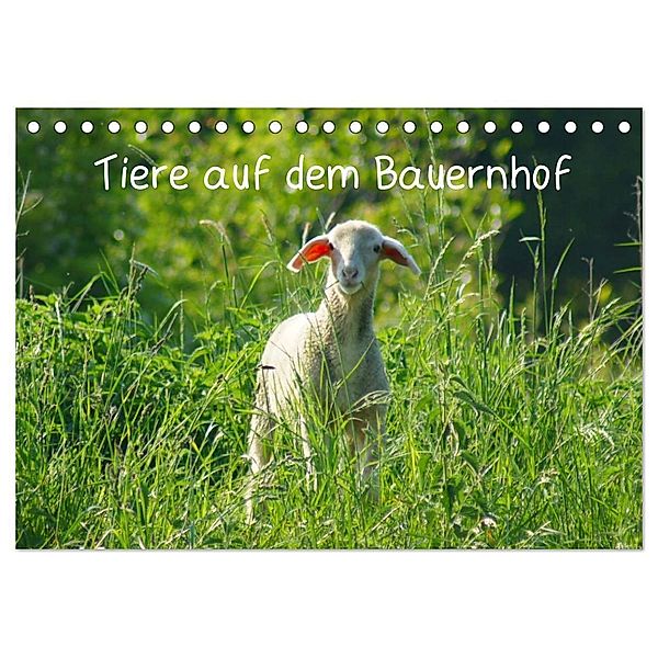 Tiere auf dem Bauernhof (Tischkalender 2024 DIN A5 quer), CALVENDO Monatskalender, Kattobello