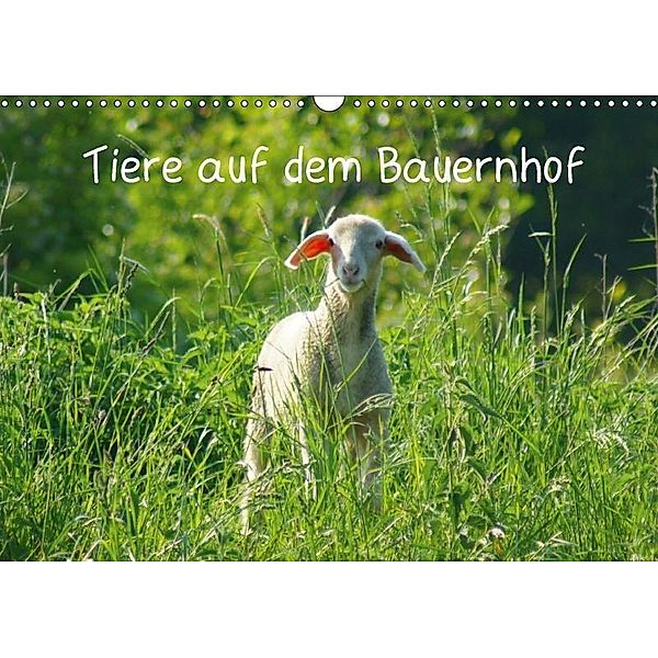 Tiere auf dem Bauernhof (Wandkalender 2017 DIN A3 quer), Kattobello