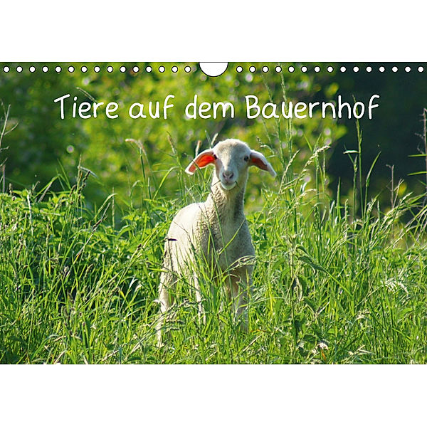 Tiere auf dem Bauernhof (Wandkalender 2019 DIN A4 quer), Kattobello