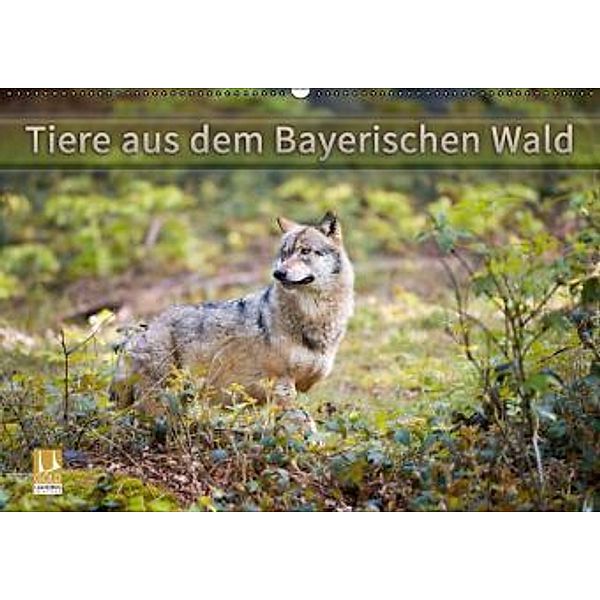 Tiere aus dem Bayerischen Wald (Wandkalender 2016 DIN A2 quer), CH Photography