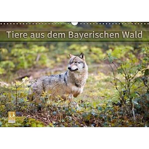 Tiere aus dem Bayerischen Wald (Wandkalender 2016 DIN A3 quer), CH Photography
