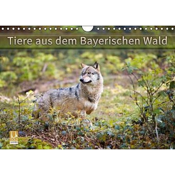 Tiere aus dem Bayerischen Wald (Wandkalender 2016 DIN A4 quer), CH Photography