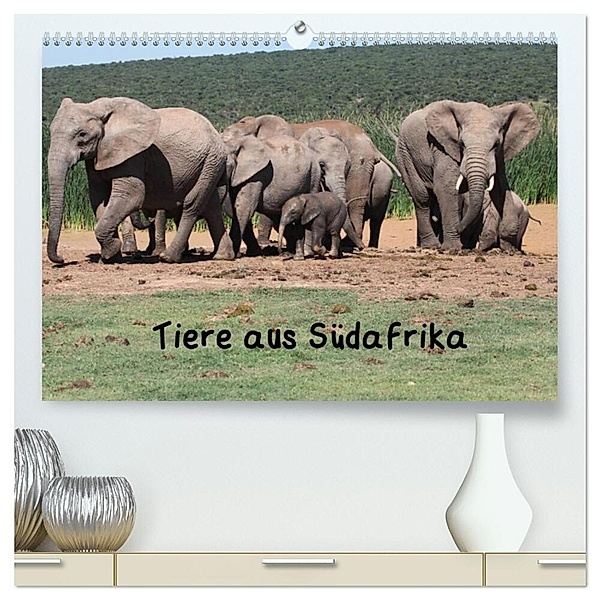 Tiere aus Südafrika (hochwertiger Premium Wandkalender 2024 DIN A2 quer), Kunstdruck in Hochglanz, W. Brüchle