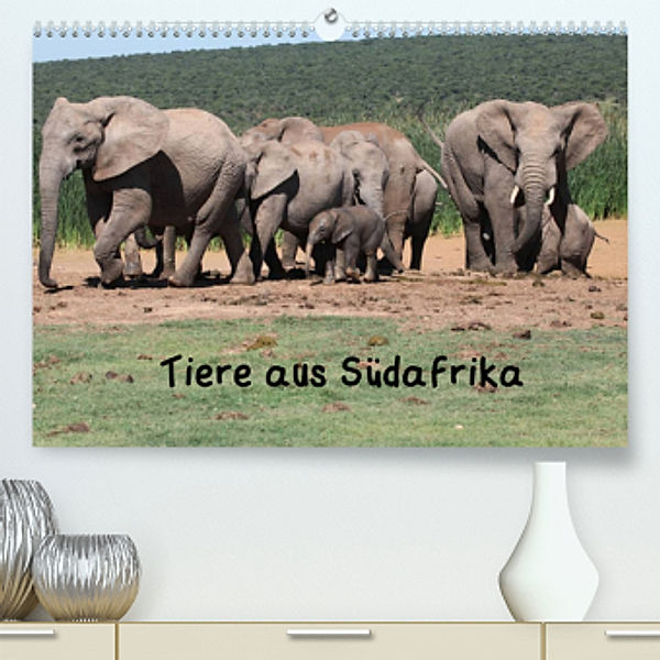 Tiere aus Südafrika (Premium, hochwertiger DIN A2 Wandkalender 2022, Kunstdruck in Hochglanz), W. Brüchle