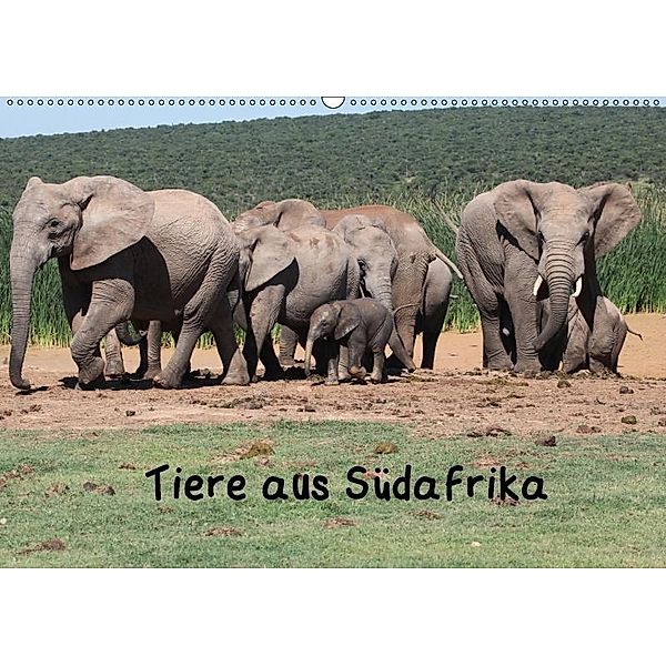 Tiere aus Südafrika (Wandkalender 2017 DIN A2 quer), W. Brüchle