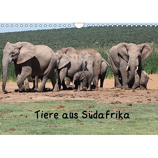 Tiere aus Südafrika (Wandkalender 2018 DIN A4 quer), W. Brüchle